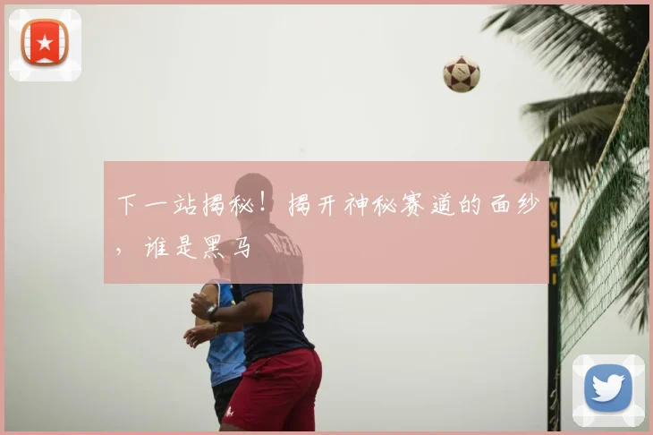 下一站揭秘！揭开神秘赛道的面纱，谁是黑马