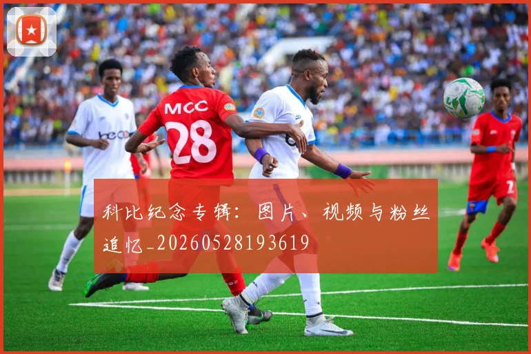 科比纪念专辑：图片、视频与粉丝追忆_20260528193619